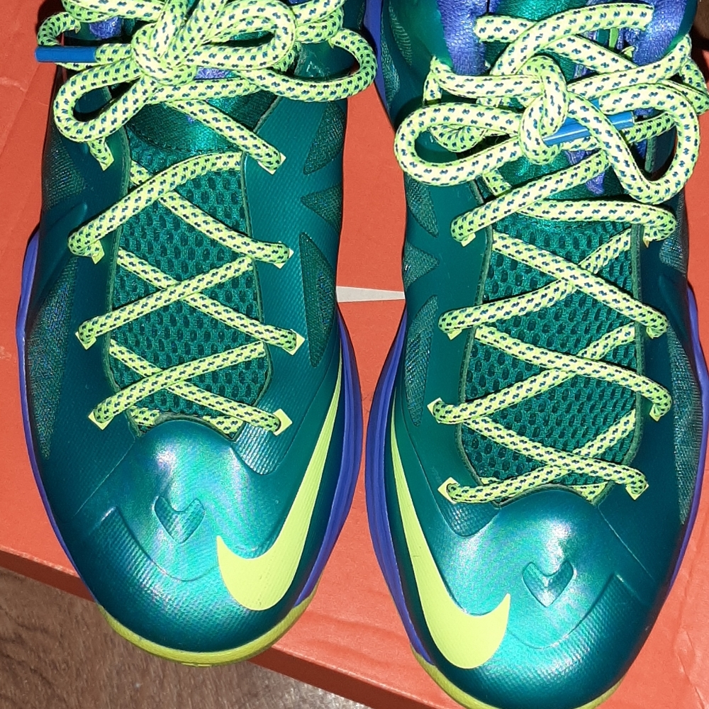 LeBrons 10 4/youth